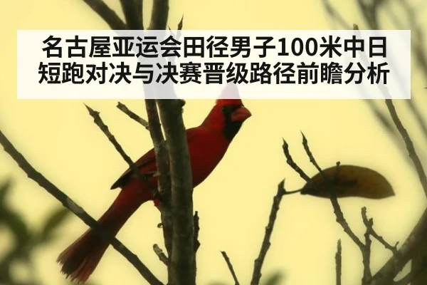 名古屋亚运会田径男子100米中日短跑对决与决赛晋级路径前瞻分析