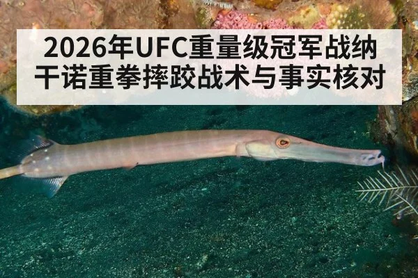 2026年UFC重量级冠军战纳干诺重拳摔跤战术与事实核对